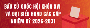 bau-cu-qh-khoa-xvi-va-dai-bieu-hdnd-2026-2031