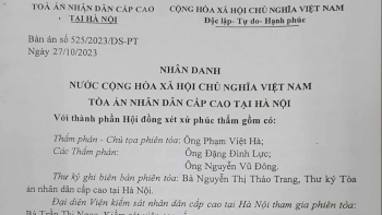 Người cao tuổi đề nghị hoãn thi hành án để được giải thích bản án theo quy định pháp luật