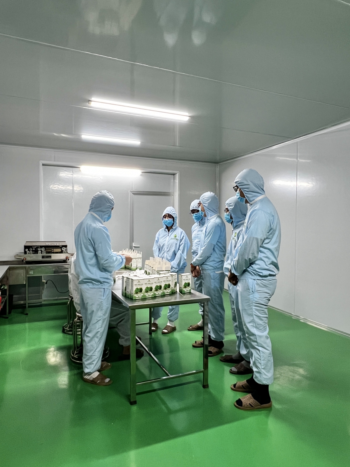 Đại diện QFF (Nhật Bản) tham quan khu vực đóng gói các sản phẩm từ cây rau má tại THQueenFarm