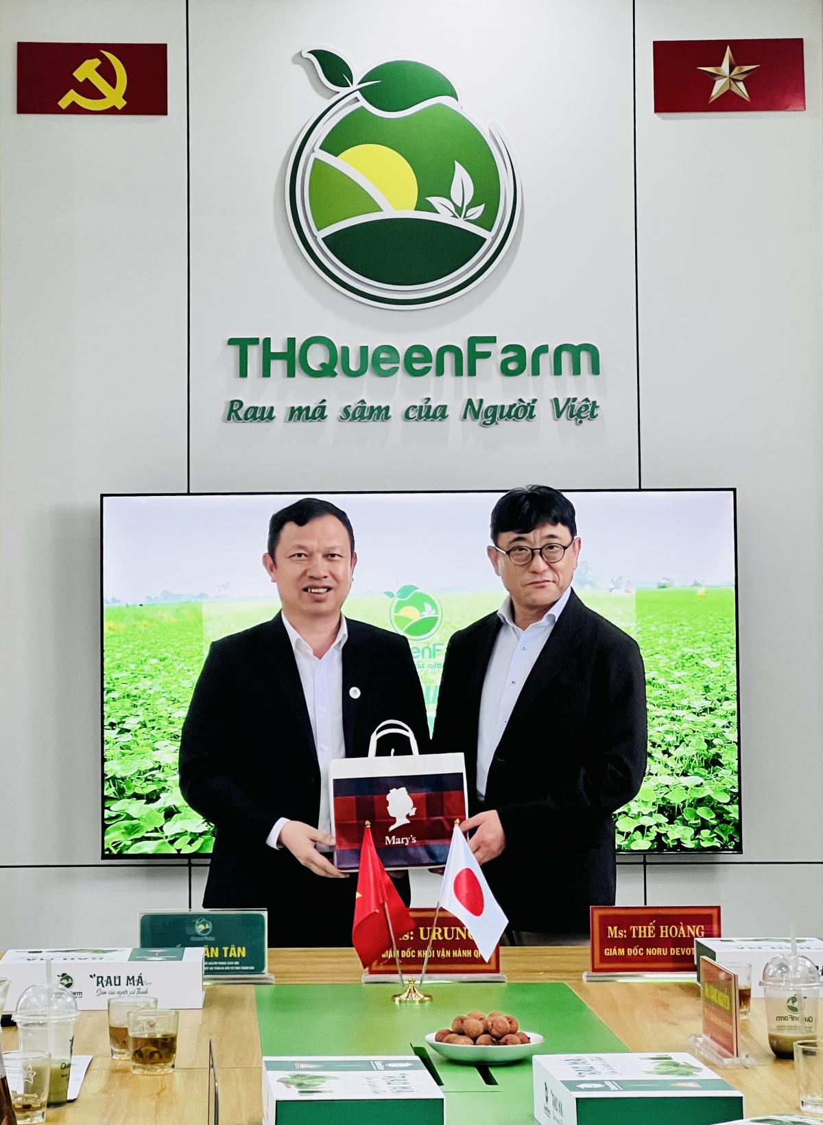 Doanh nhân Trần Văn Tân - Tổng giám đốc THQueenFarm (bên trái ảnh) và Ông Uruno - Giám đốc khối vận hành QFF (Nhật Bản) tại buổi làm việc chuẩn bị cho Dự án chiếu xã hạt giống rau má