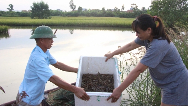 Chi hội trưởng làm kinh tế giỏi