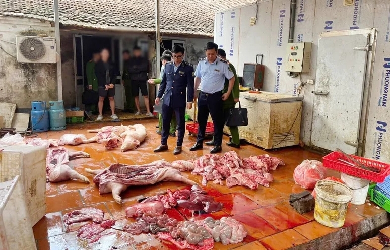 Chuyển cơ quan điều tra vụ gần 1 tấn thịt lợn nghi nhiễm dịch tả lợn châu Phi tại Hưng Yên