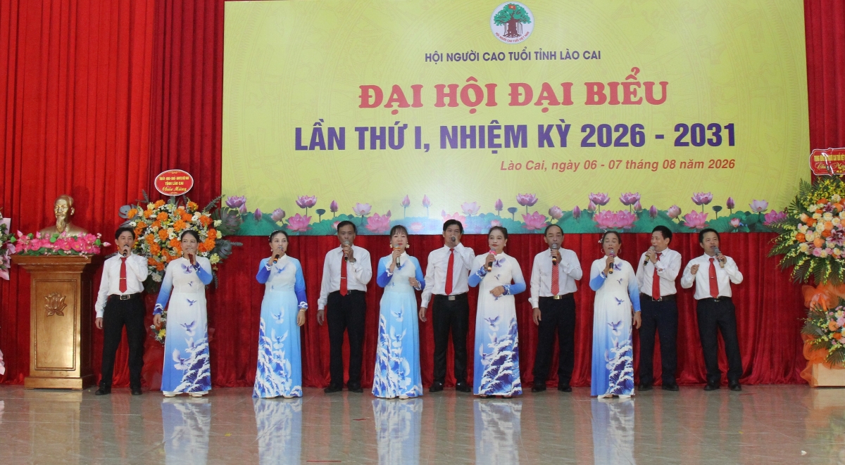 Kiện toàn tổ chức Hội, phát huy hiệu quả hoạt động trong giai đoạn mới Kiện toàn tổ chức Hội, phát huy hiệu quả hoạt động trong giai đoạn mới