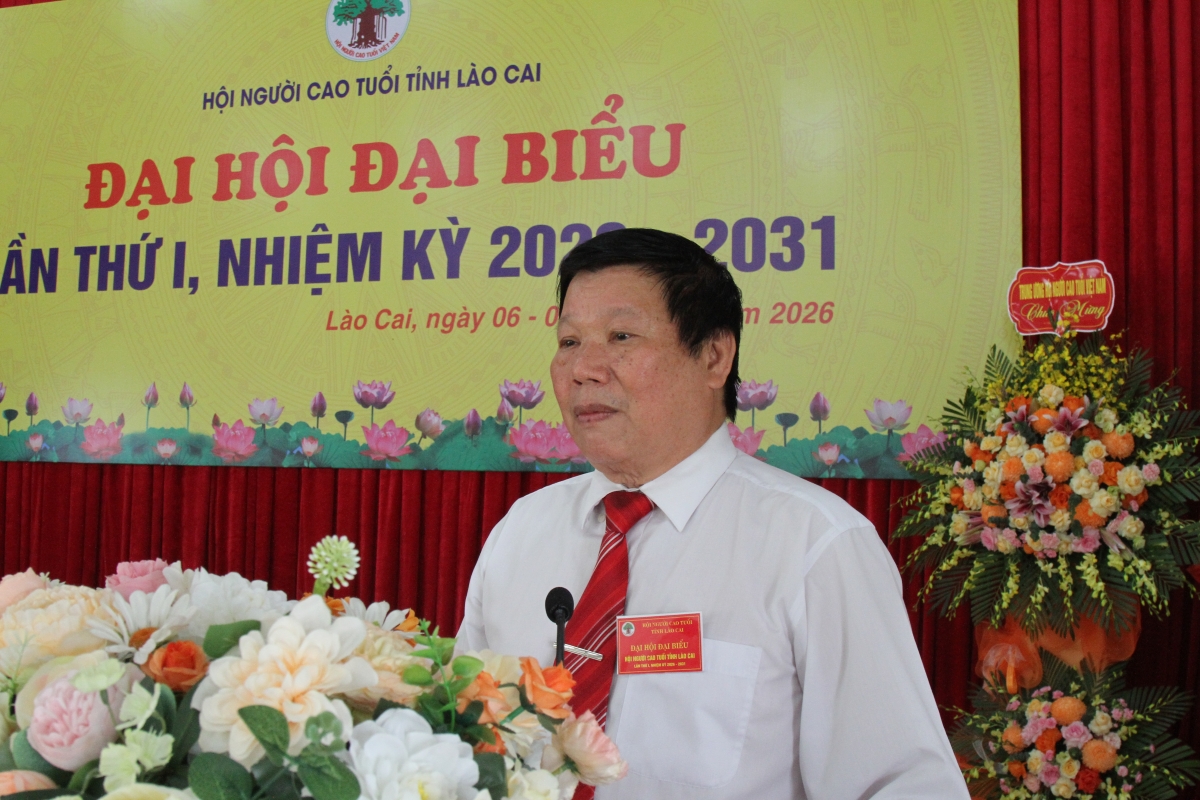 Kiện toàn tổ chức Hội, phát huy hiệu quả hoạt động trong giai đoạn mới Kiện toàn tổ chức Hội, phát huy hiệu quả hoạt động trong giai đoạn mới