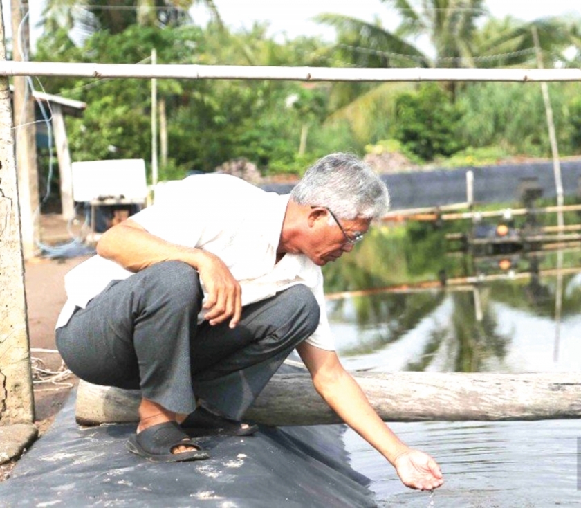 Làm giàu từ mô hình nuôi tôm