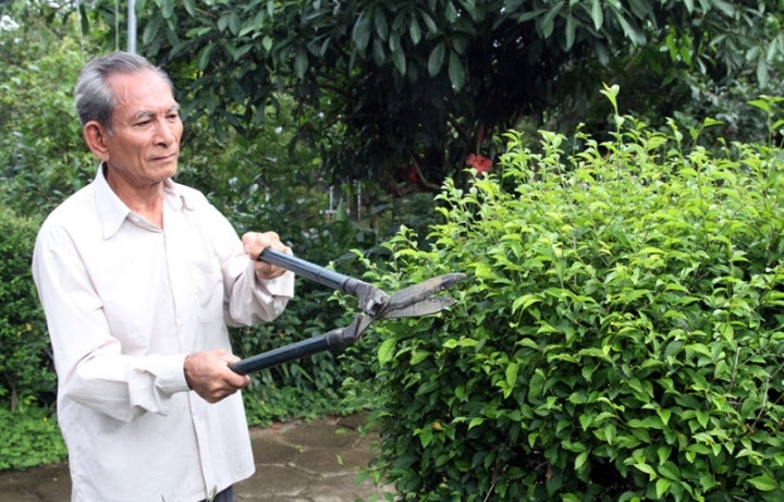 Thú vui điền viên và sự thư thái Thú vui điền viên và sự thư thái