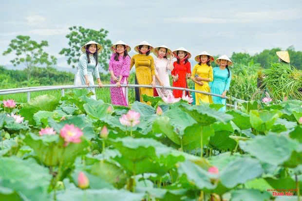 Ban Quản lý Di sản Thành Nhà Hồ chuẩn bị chu đáo các điều kiện phục vụ khách du lịch dịp Quốc khánh 2/9 và những tháng cuối năm 2026