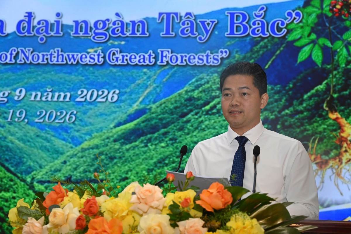 Sâm Lai Châu – Tinh hoa đại ngàn Tây Bắc Sâm Lai Châu – Tinh hoa đại ngàn Tây Bắc