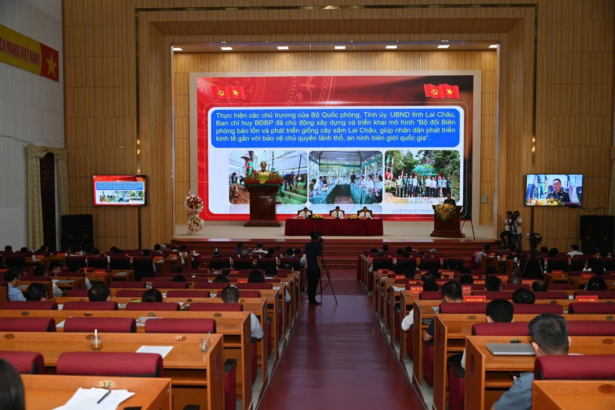 Sâm Lai Châu – Tinh hoa đại ngàn Tây Bắc Sâm Lai Châu – Tinh hoa đại ngàn Tây Bắc