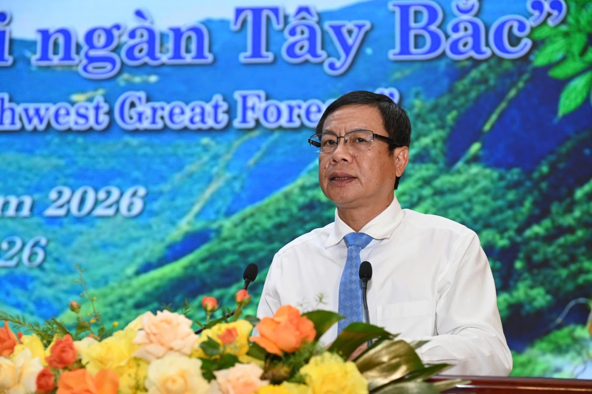 Sâm Lai Châu – Tinh hoa đại ngàn Tây Bắc Sâm Lai Châu – Tinh hoa đại ngàn Tây Bắc