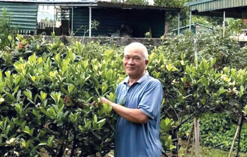 Ông Lê Bá Ninh giới thiệu về mô hình trồng cây cảnh của gia đình. Ông Lê Bá Ninh giới thiệu về mô hình trồng cây cảnh của gia đình.