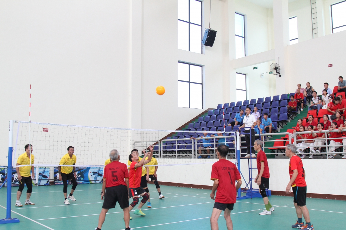 Tỉnh Lào Cai phát động Tháng hành động vì người cao tuổi năm 2026