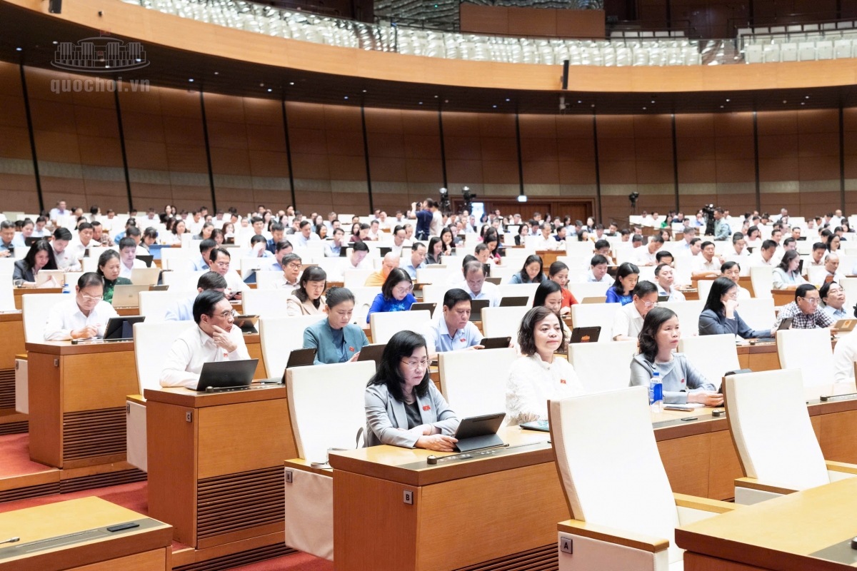 các đại biểu tham gia kỳ họp sáng ngày 19/10. các đại biểu tham gia kỳ họp sáng ngày 19/10.