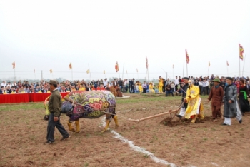 Xuân trên quê hương Hà Nam