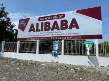 Alibaba và…