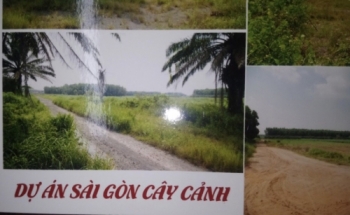 Tỉnh Đồng Nai: Một vụ án có nhiều dấu hiệu sai phạm trong tố tụng!                                      