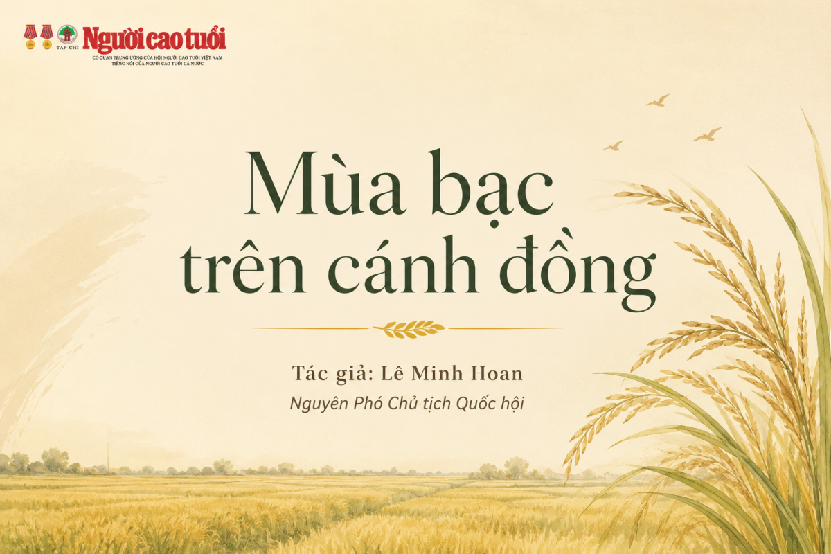 Mùa bạc trên cánh đồng
